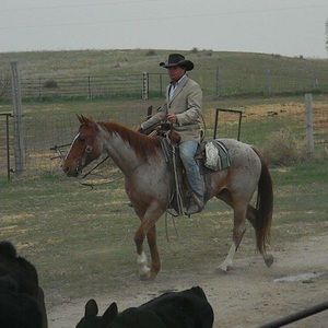 Meet your Posher, Austin